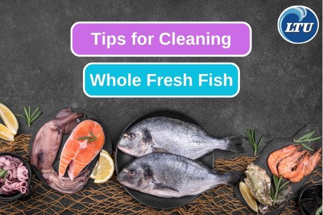 Cleaning Fresh Fish Like a Pro - Tips and Tricks for Success